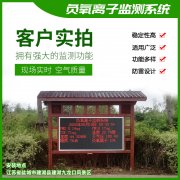 去公園吸氧，看看負(fù)氧離子在線監(jiān)測(cè)儀！